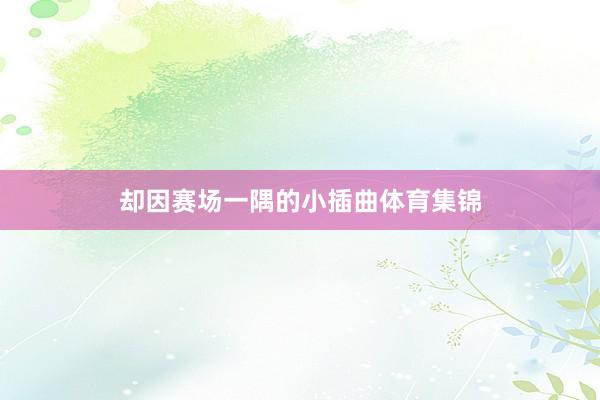 却因赛场一隅的小插曲体育集锦