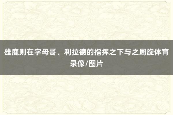 雄鹿则在字母哥、利拉德的指挥之下与之周旋体育录像/图片