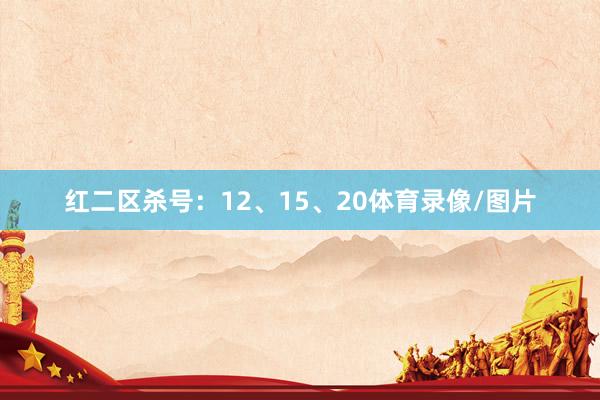 红二区杀号：12、15、20体育录像/图片