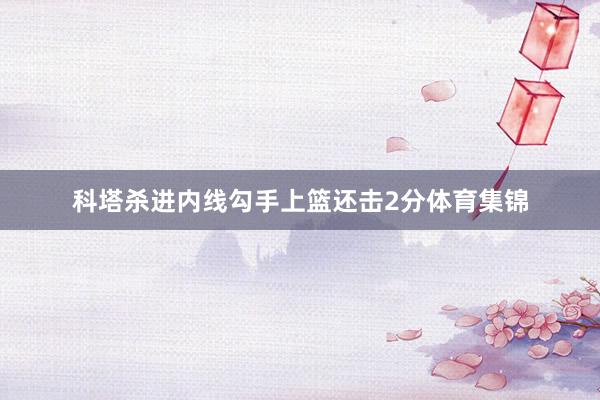 科塔杀进内线勾手上篮还击2分体育集锦