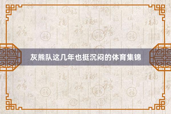 灰熊队这几年也挺沉闷的体育集锦