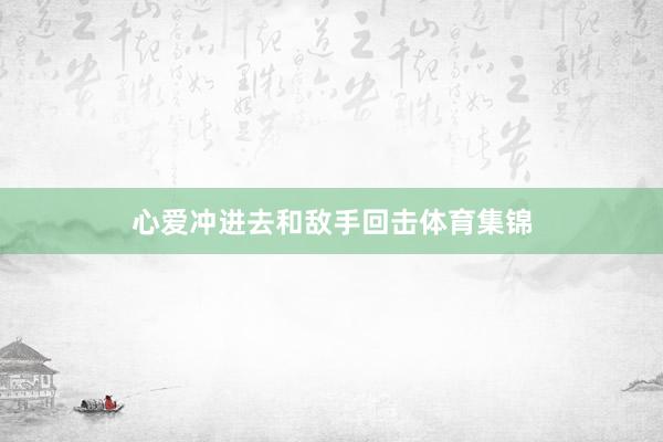 心爱冲进去和敌手回击体育集锦