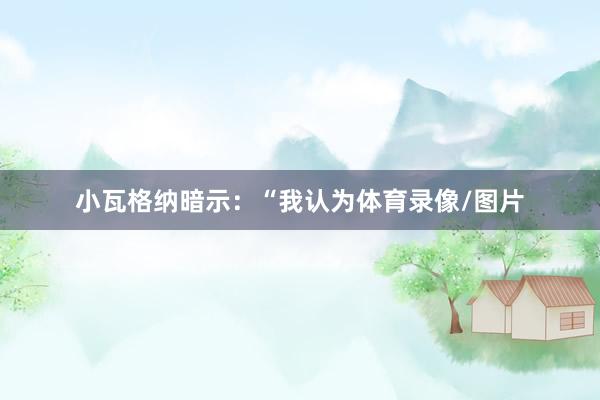 小瓦格纳暗示：“我认为体育录像/图片
