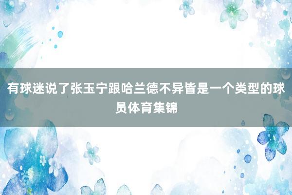 有球迷说了张玉宁跟哈兰德不异皆是一个类型的球员体育集锦