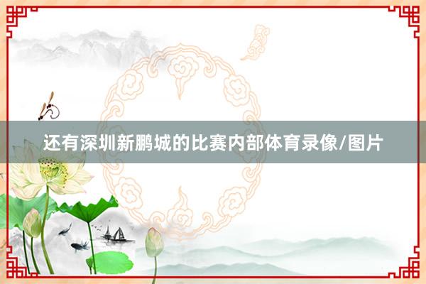 还有深圳新鹏城的比赛内部体育录像/图片