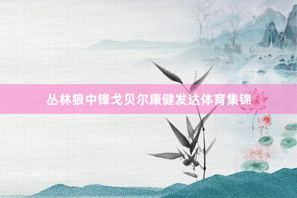 丛林狼中锋戈贝尔康健发达体育集锦
