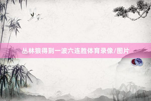 丛林狼得到一波六连胜体育录像/图片