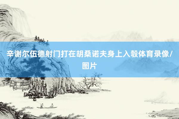 辛谢尔伍德射门打在胡桑诺夫身上入彀体育录像/图片