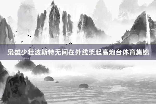 枭雄少壮波斯特无间在外线架起高炮台体育集锦