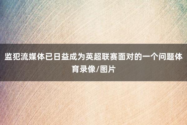 监犯流媒体已日益成为英超联赛面对的一个问题体育录像/图片