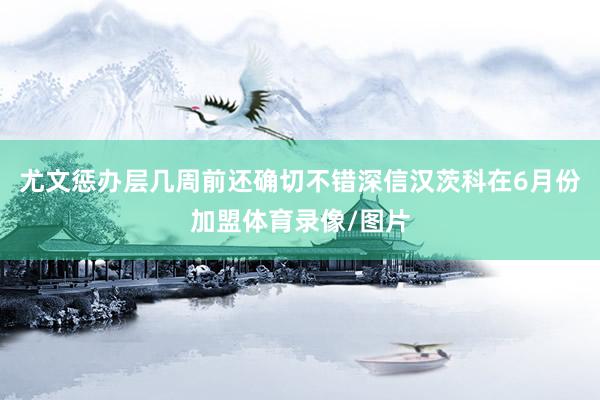 尤文惩办层几周前还确切不错深信汉茨科在6月份加盟体育录像/图片