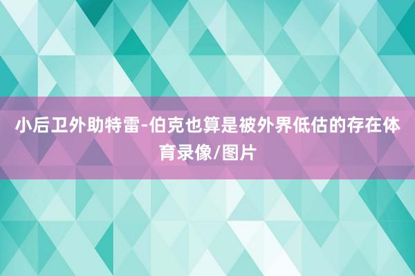 小后卫外助特雷-伯克也算是被外界低估的存在体育录像/图片