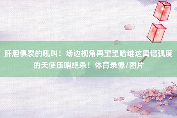 肝胆俱裂的吼叫！场边视角再望望哈维这离谱弧度的天使压哨绝杀！体育录像/图片