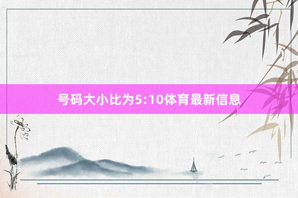号码大小比为5:10体育最新信息
