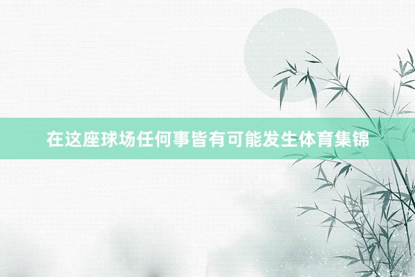 在这座球场任何事皆有可能发生体育集锦