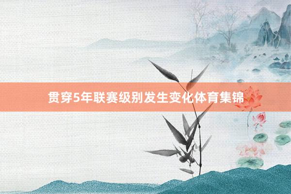 贯穿5年联赛级别发生变化体育集锦
