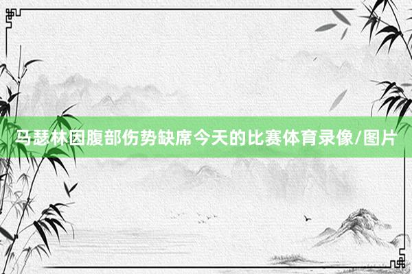 马瑟林因腹部伤势缺席今天的比赛体育录像/图片