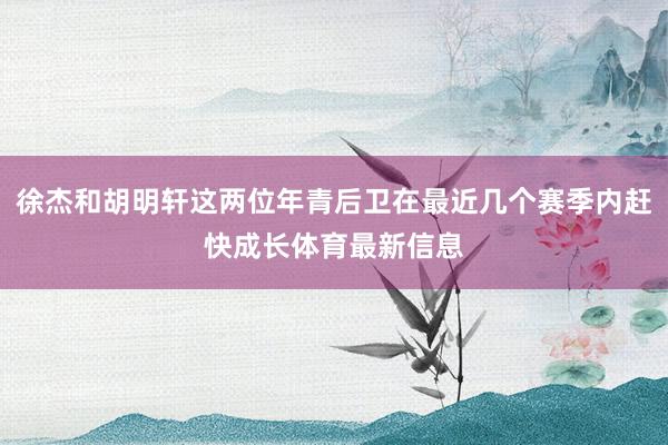 徐杰和胡明轩这两位年青后卫在最近几个赛季内赶快成长体育最新信息