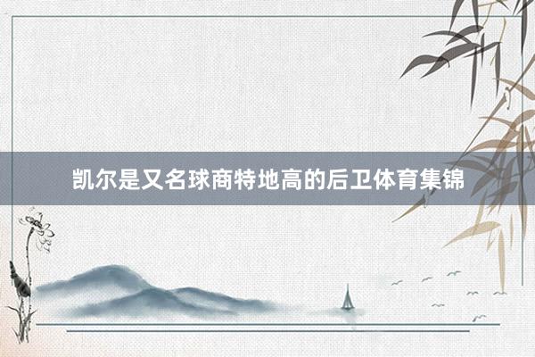 凯尔是又名球商特地高的后卫体育集锦