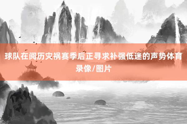 球队在阅历灾祸赛季后正寻求补强低迷的声势体育录像/图片