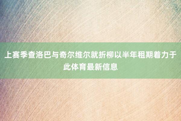 上赛季查洛巴与奇尔维尔就折柳以半年租期着力于此体育最新信息