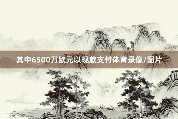 其中6500万欧元以现款支付体育录像/图片