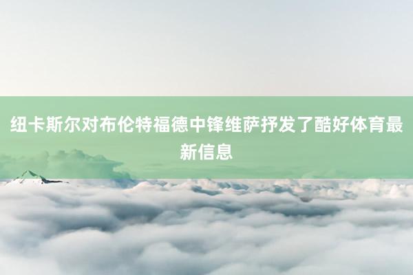 纽卡斯尔对布伦特福德中锋维萨抒发了酷好体育最新信息