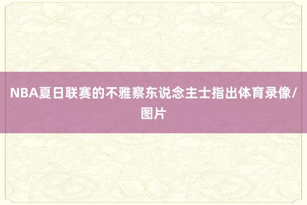 NBA夏日联赛的不雅察东说念主士指出体育录像/图片