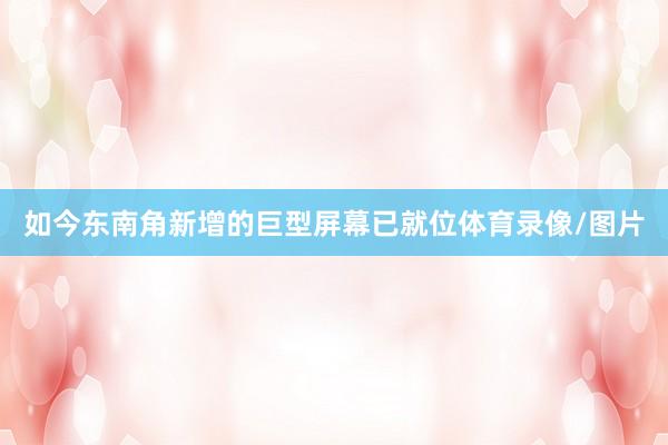 如今东南角新增的巨型屏幕已就位体育录像/图片