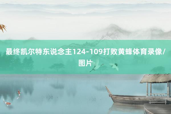 最终凯尔特东说念主124-109打败黄蜂体育录像/图片