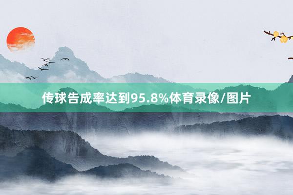 传球告成率达到95.8%体育录像/图片