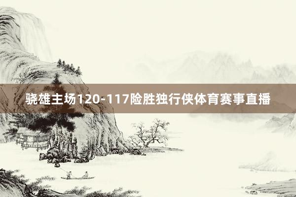 骁雄主场120-117险胜独行侠体育赛事直播