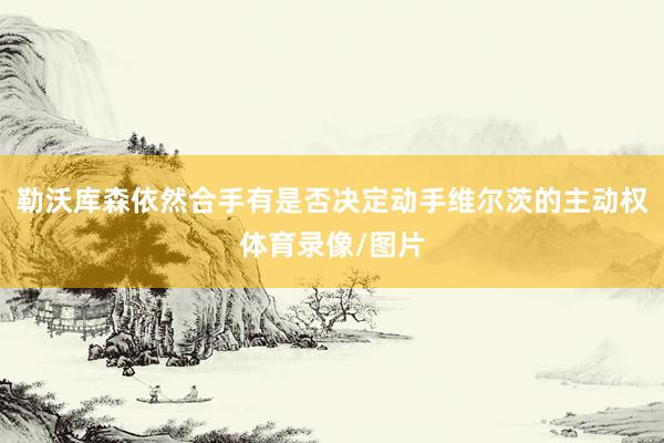勒沃库森依然合手有是否决定动手维尔茨的主动权体育录像/图片