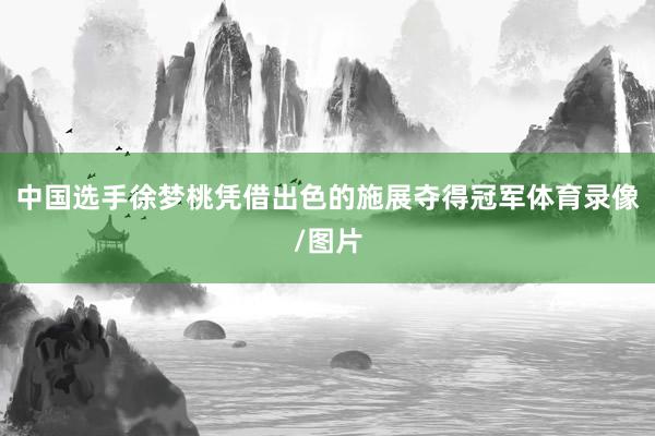 中国选手徐梦桃凭借出色的施展夺得冠军体育录像/图片