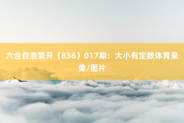 六合自浩繁开（836）　　017期：大小有定数体育录像/图片