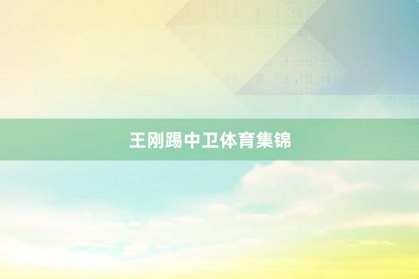 王刚踢中卫体育集锦