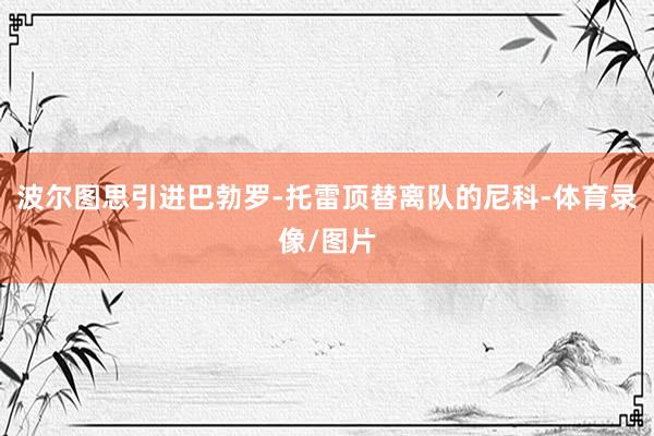 波尔图思引进巴勃罗-托雷顶替离队的尼科-体育录像/图片