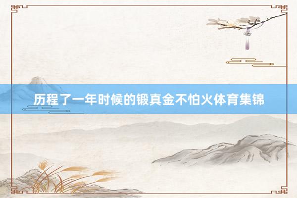 历程了一年时候的锻真金不怕火体育集锦