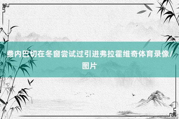 费内巴切在冬窗尝试过引进弗拉霍维奇体育录像/图片