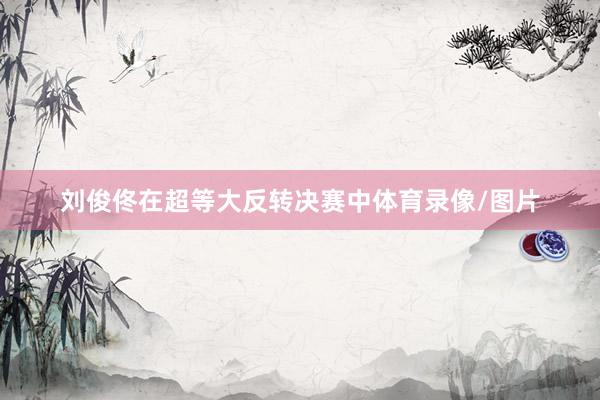刘俊佟在超等大反转决赛中体育录像/图片