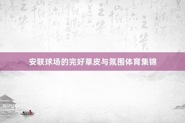 安联球场的完好草皮与氛围体育集锦