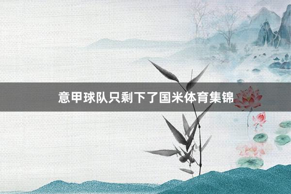 意甲球队只剩下了国米体育集锦