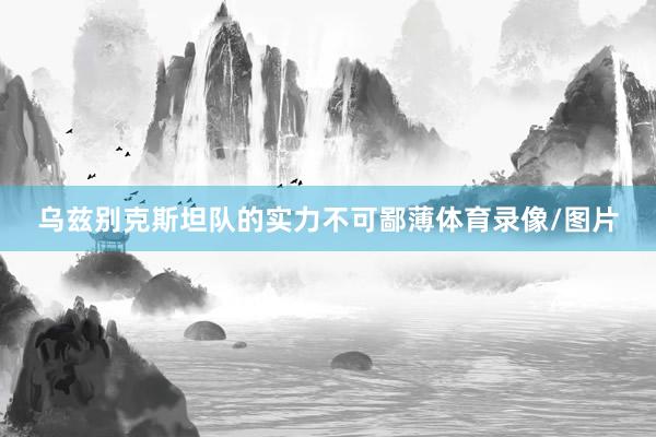 乌兹别克斯坦队的实力不可鄙薄体育录像/图片