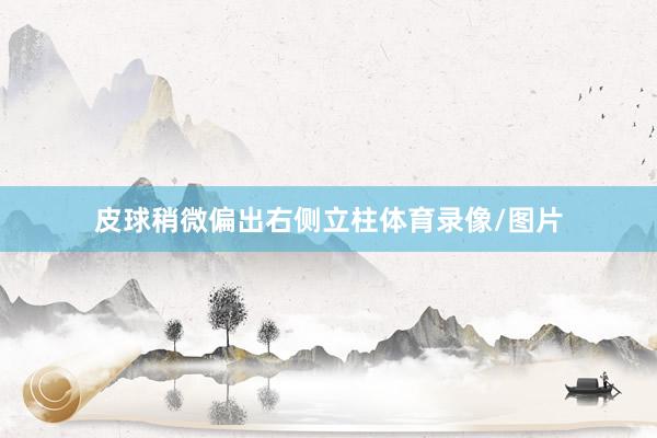 皮球稍微偏出右侧立柱体育录像/图片