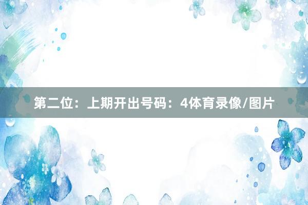 第二位：上期开出号码：4体育录像/图片