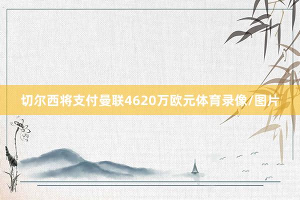 切尔西将支付曼联4620万欧元体育录像/图片