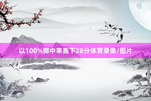 以100%掷中率轰下28分体育录像/图片