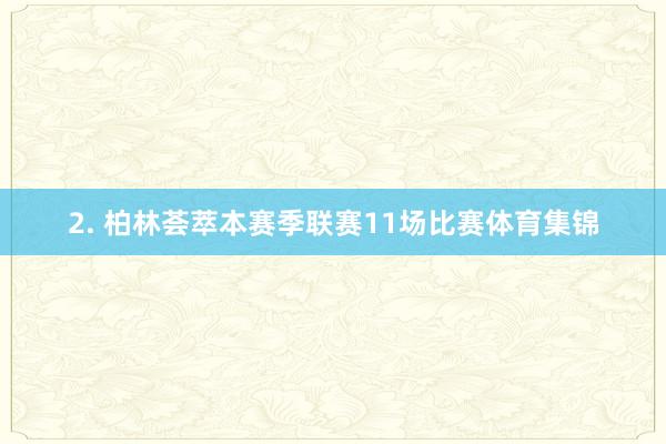 2. 柏林荟萃本赛季联赛11场比赛体育集锦