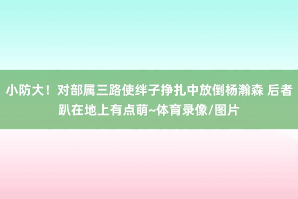 小防大！对部属三路使绊子挣扎中放倒杨瀚森 后者趴在地上有点萌~体育录像/图片