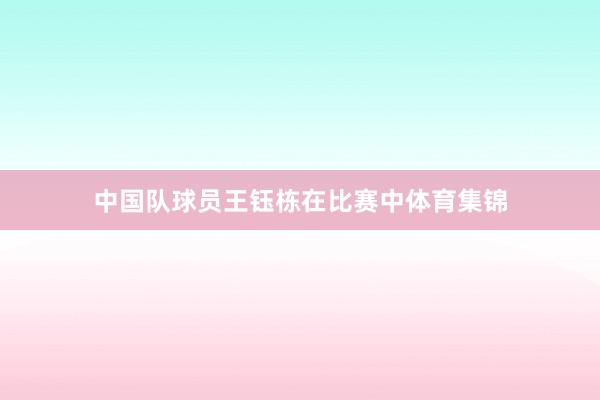 中国队球员王钰栋在比赛中体育集锦